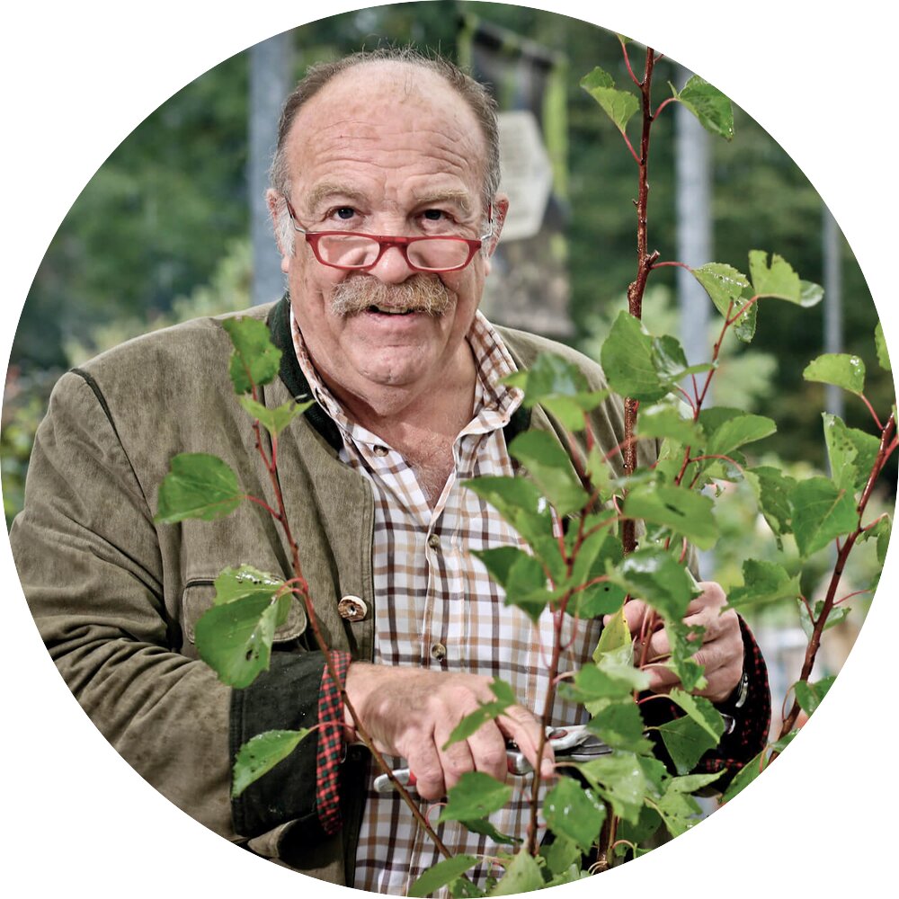 Gartencenter & Gartengestaltung Aschbach STARKL